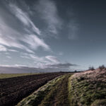 20241201 dsc 1506