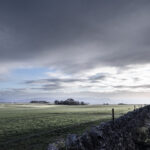 20241201 dsc 1513