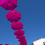 20260506 p2450176