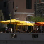 20260512 p2450474