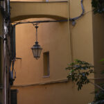 20260512 p2450493